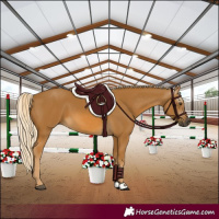 Horse Color:Gray Palomino