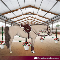 Horse Color:Classic Champagne Dun 