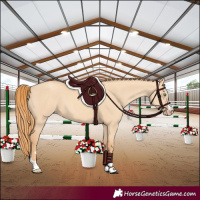Horse Color:Gold Champagne Dun
