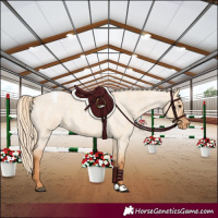 Horse Color:Red Dun Roan Snowcap 