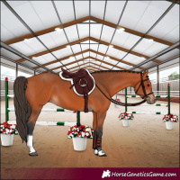 Horse Color:Bay Tobiano Rabicano