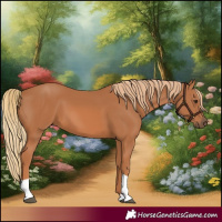Horse Color:Chestnut Tobiano Rabicano