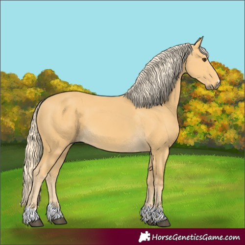 Horse Color:Unknown 