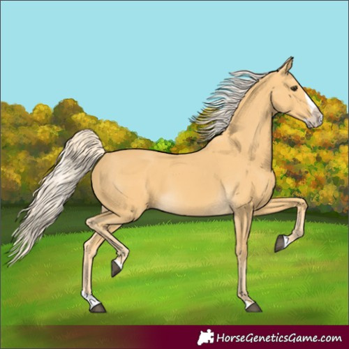 Horse Color:Palomino Splash Frame 