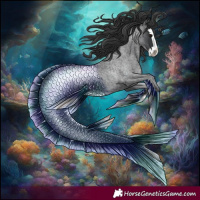 Horse Color:Blue Roan Splash 