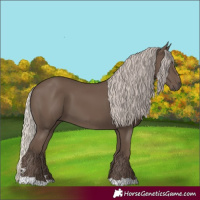 Horse Color:Silver Black 