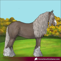 Horse Color:Silver Black 
