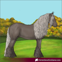 Horse Color:Silver Black 