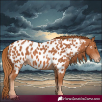 Horse Color:Chestnut Near Leopard 