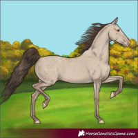 Horse Color:Classic Champagne Dun 