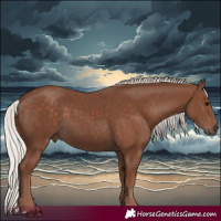 Horse Color:Silver Black 