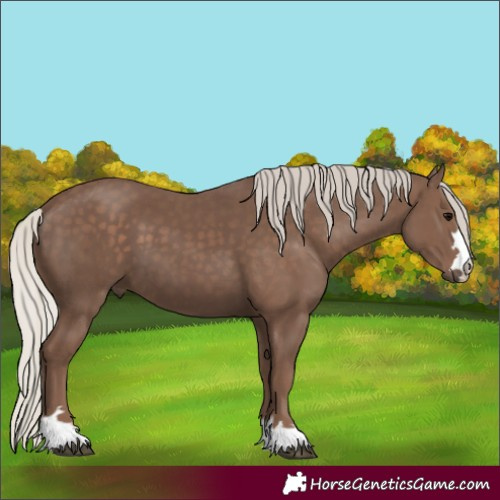 Horse Color:Silver Black 
