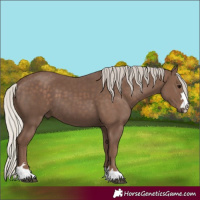 Horse Color:Silver Black 