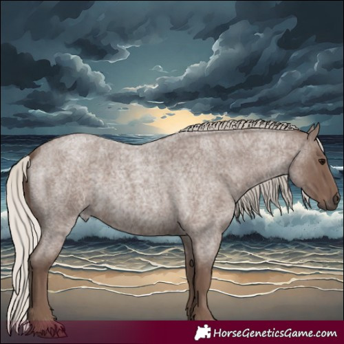 Horse Color:Silver Blue Roan
