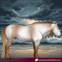 Horse Color:Gray Chestnut 