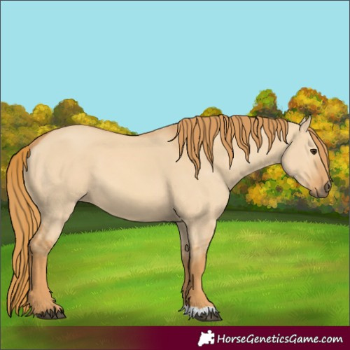 Horse Color:Red Dun 