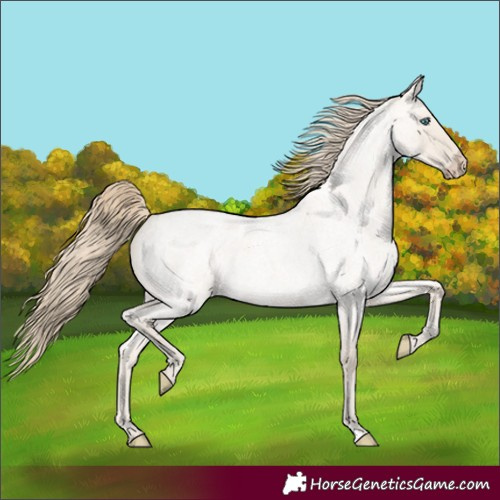 Horse Color:Smoky Creme Roan Dun 