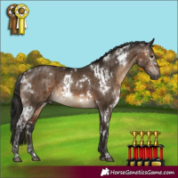 Horse Color:Bay  and Gray White Spotted Brown Dun Brindle 