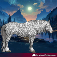 Horse Color:Black Sabino Tobiano Appaloosa 