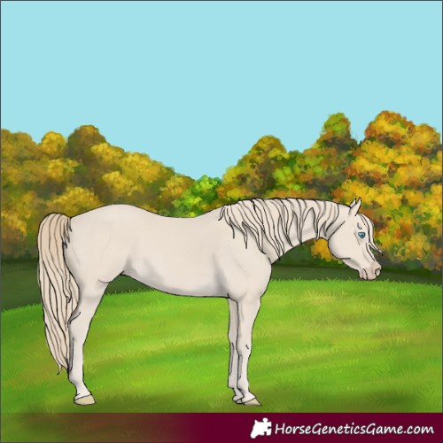 Horse Color:Smoky Creme 