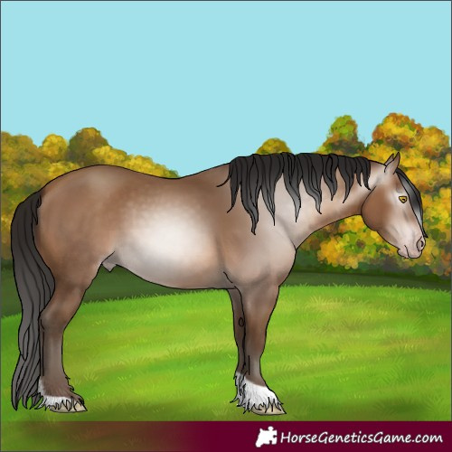 Horse Color:Gray Amber Champagne Tobiano 