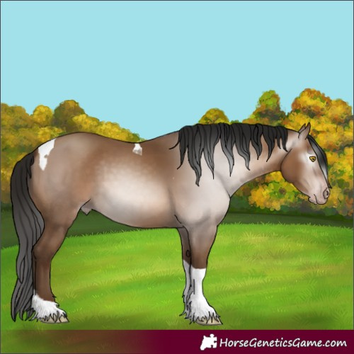 Horse Color:Gray Amber Champagne Tobiano