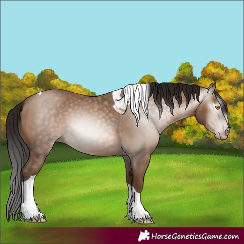 Horse Color:Gray Amber Champagne Tobiano 