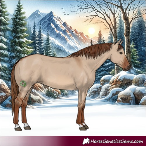 Horse Color:Red Dun 