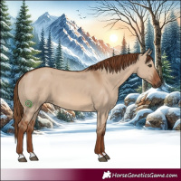 Horse Color:Red Dun