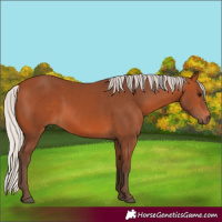 Horse Color:Silver Bay