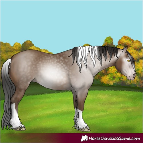 Horse Color:Gray Amber Champagne Tobiano
