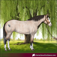 Horse Color:Bay Roan Dun Splash