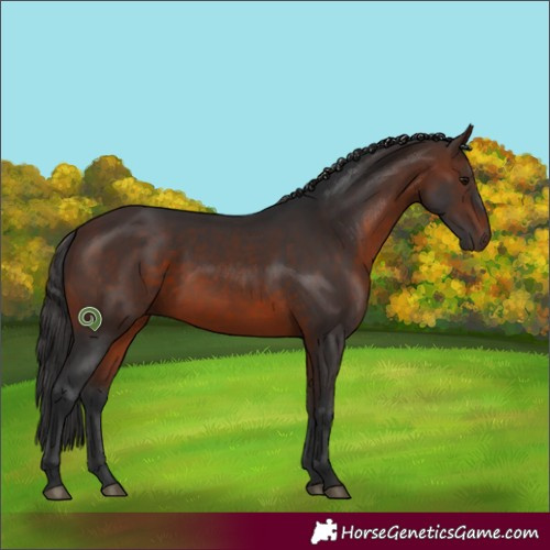 Horse Color:Brown 