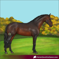 Horse Color:Brown 