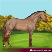 Horse Color:Red Dun 