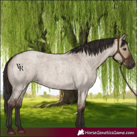 Horse Color:Liver Red Dun Roan 