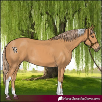 Horse Color:Chestnut Tobiano Rabicano 