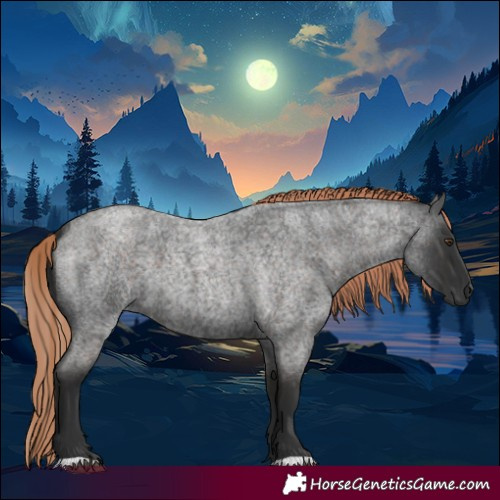 Horse Color:Liver Red Roan 