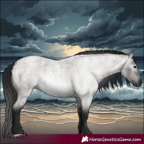 Horse Color:Gray Grullo Roan 