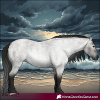 Horse Color:Gray Grullo Roan 