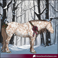 Horse Color:Amber Champagne Near Leopard and Amber Champagne Frame Near Leopard