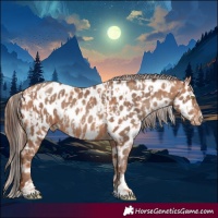 Horse Color:Gold Champagne Near Leopard and Amber Champagne Near Leopard