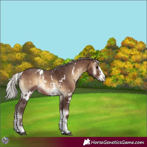 Horse Color:White Spotted Silver Bay Onyx Sabino 