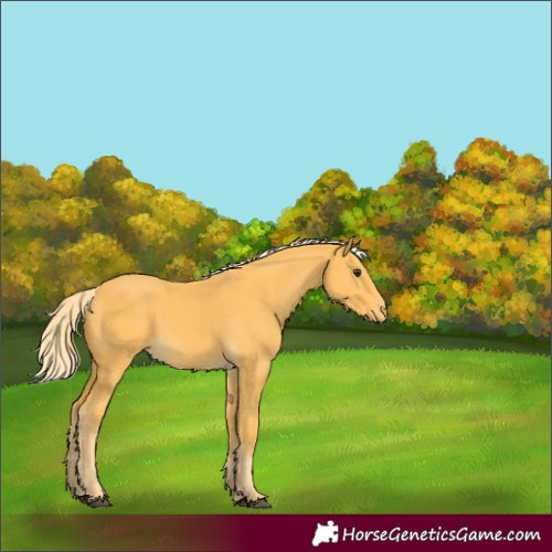 Horse Color:Palomino Varnish 