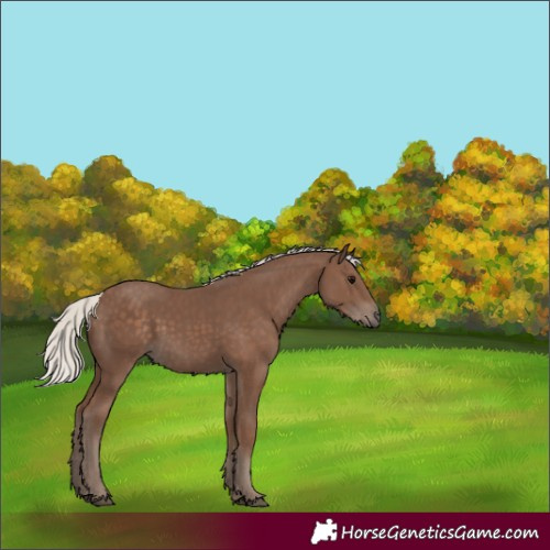 Horse Color:Silver Black 