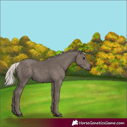 Horse Color:Silver Black 