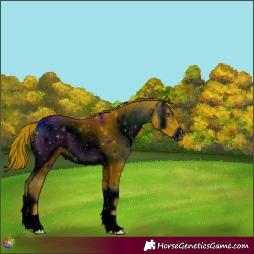 Horse Color:ERROR: UNKNOWN ANOMALY