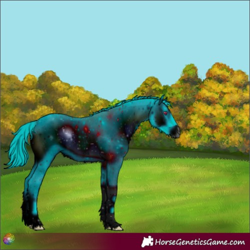 Horse Color:ERROR: UNKNOWN ANOMALY
