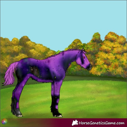 Horse Color:ERROR: UNKNOWN ANOMALY