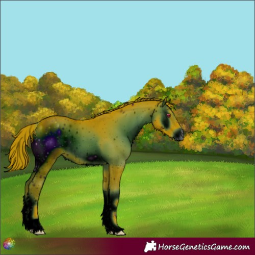 Horse Color:ERROR: UNKNOWN ANOMALY